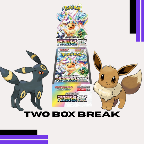 Terastal Festival Box Break